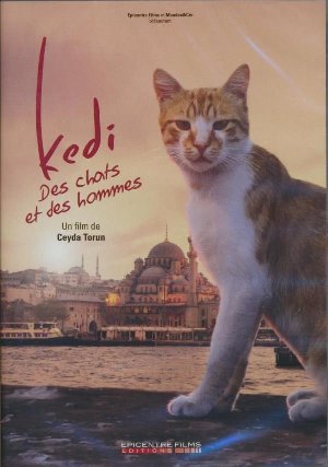 Kedi, des chats et des hommes - 