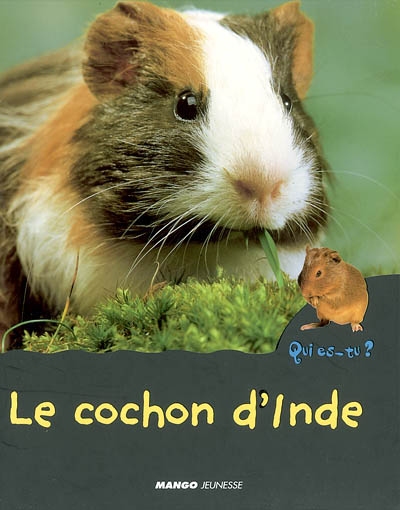 cochon d'Inde (Le) - 