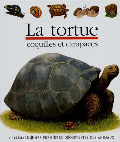 tortue (La) - 