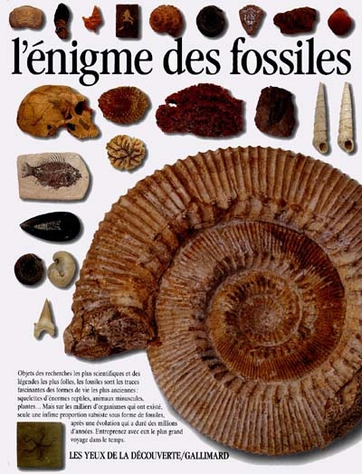 énigme des fossiles (L') - 