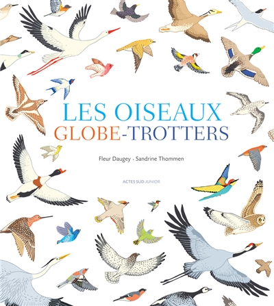 oiseaux globe-trotters (Les) - 