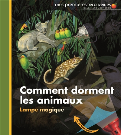 Comment dorment les animaux ? - 