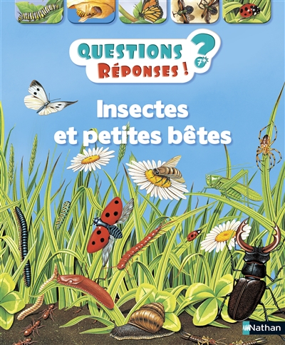 Insectes et petites bêtes - 