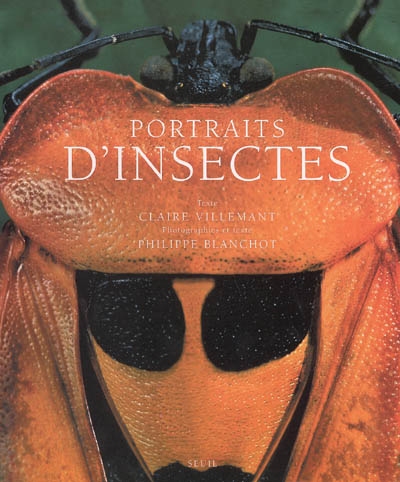 Portraits d'insectes - 