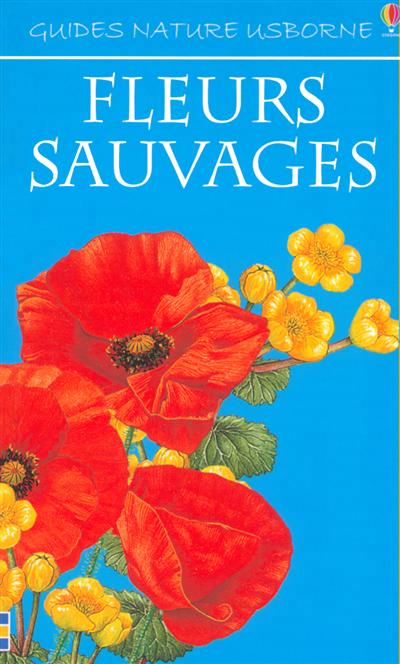 Fleurs sauvages - 