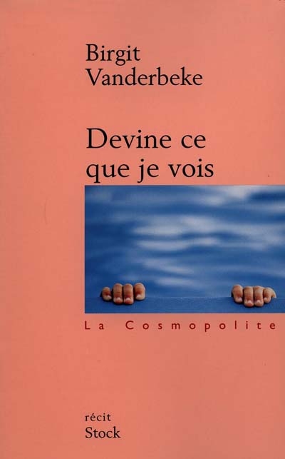 Devine ce que je vois - 