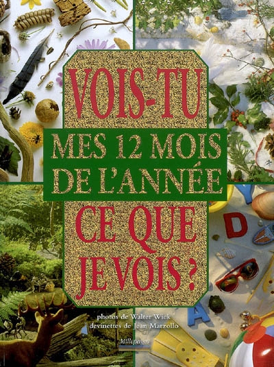 Vois-tu ce que je vois ? - 