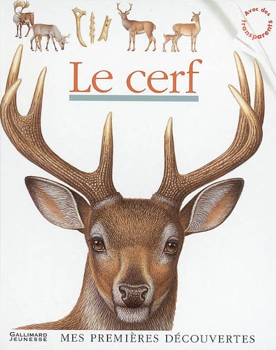 cerf (Le) - 