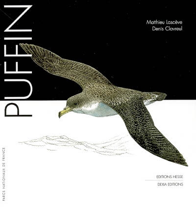 Puffin - 