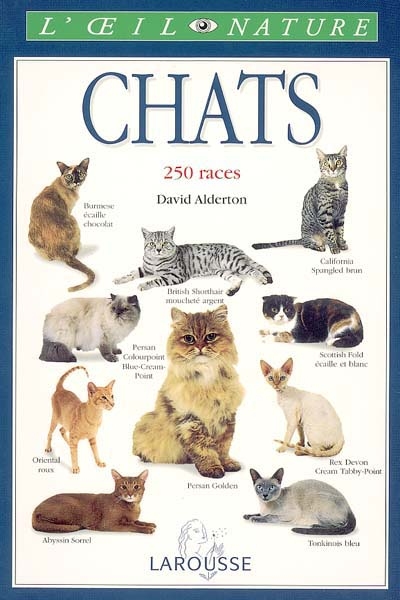 Chats - 