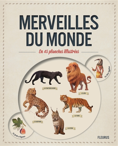 Merveilles du monde en 45 planches illustrées - 