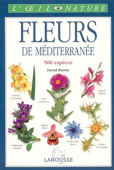 Fleurs de Méditerranée - 