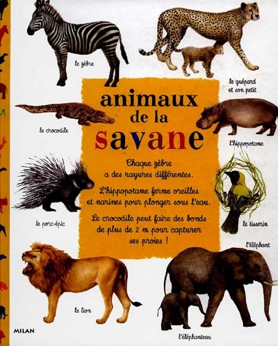 Animaux de la savane - 