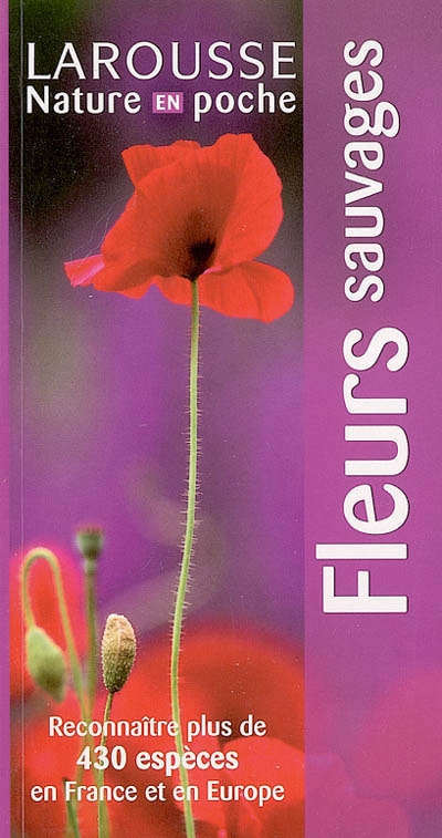 Fleurs sauvages - 