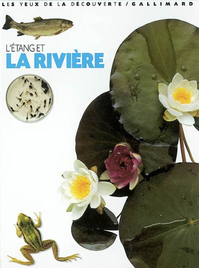 étang et la rivière (L') - 