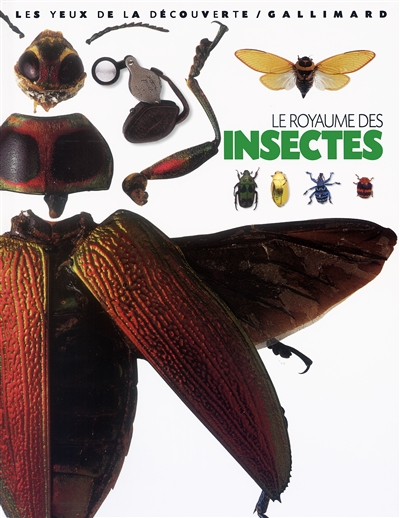 royaume des insectes (Le) - 