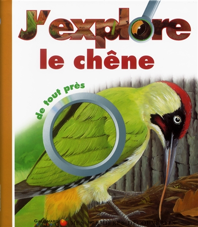 J'explore le chêne de tout près - 