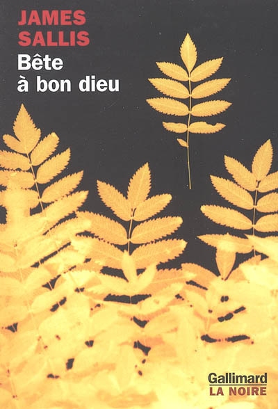 Bête à bon Dieu - 