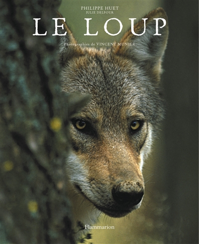 loup (Le) - 