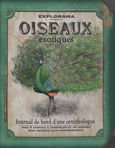 Oiseaux exotiques - 