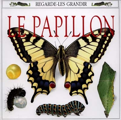 papillon (Le) - 