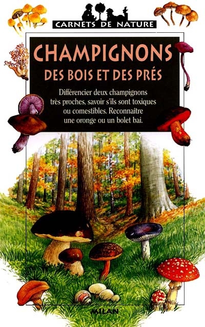 Champignons des bois et des prés - 