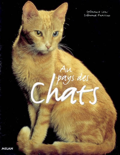 Au pays des chats - 