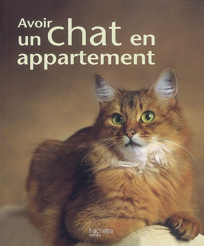 Avoir un chat en appartement - 