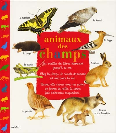 Animaux des champs - 