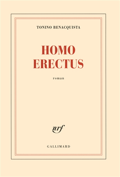 Homo erectus - 