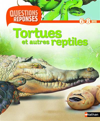 Tortues et autres reptiles - 