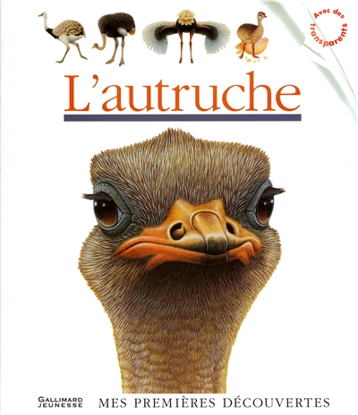 autruche (L') - 