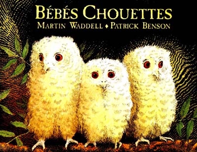 Bébés chouettes - 