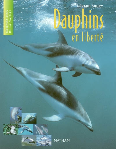 Dauphins en liberté - 