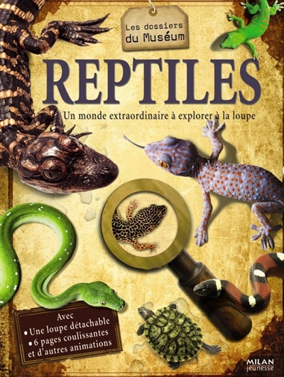 Reptiles - 