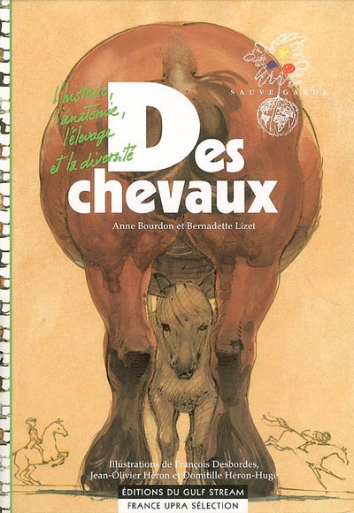 Des chevaux - 