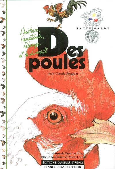 Des poules - 