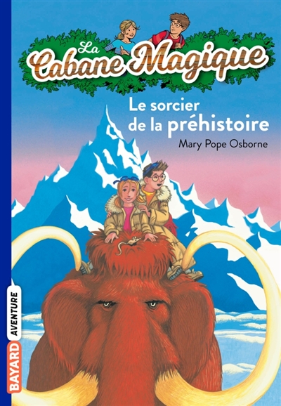 sorcier de la préhistoire (Le) - 