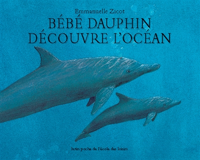 Bébé dauphin découvre l'océan - 