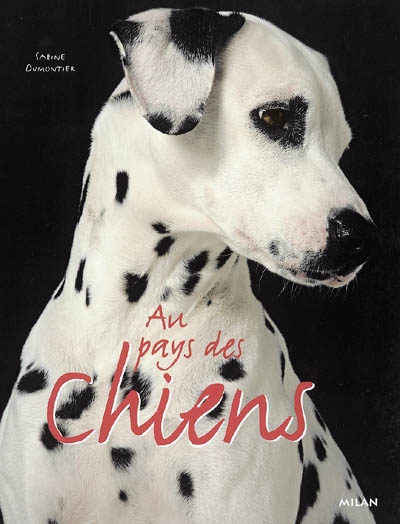 Au pays des chiens - 