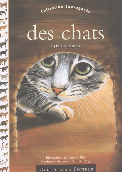 Des chats - 