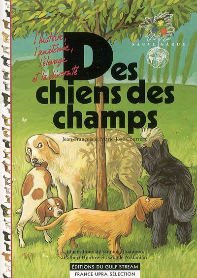 Des chiens des champs - 