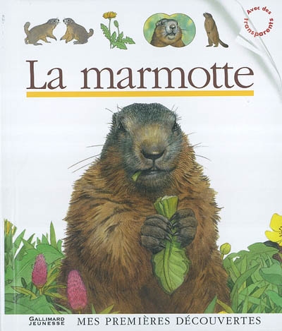 marmotte (La) - 