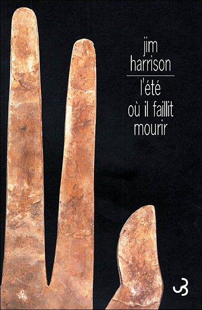 été où il faillit mourir (L') - 