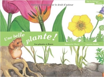 belle plante ! (Une) - 