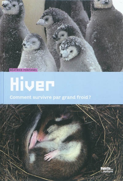 Hiver - 