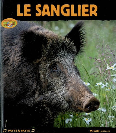 sanglier (Le) - 