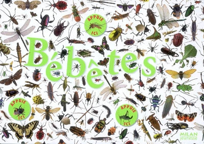 Bébêtes - 