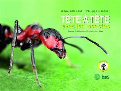 Tête-à-tête avec les insectes - 