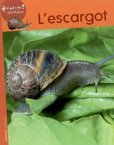 escargot (L') - 